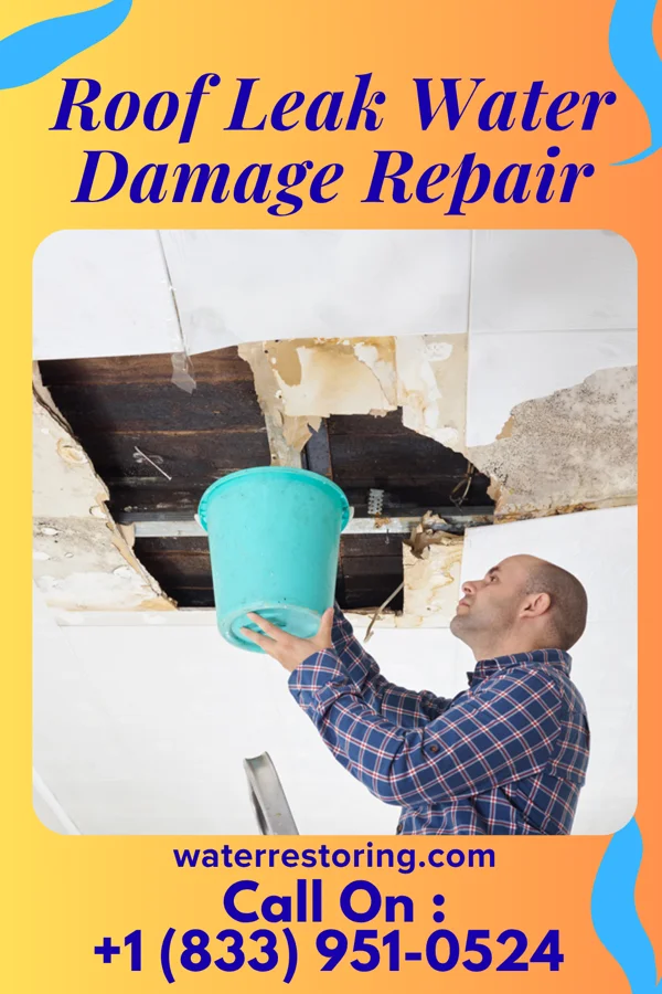 Roof Leak Water Damage Repair in Meridian, ID
